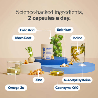 TTC + CoQ10 Support Capsules